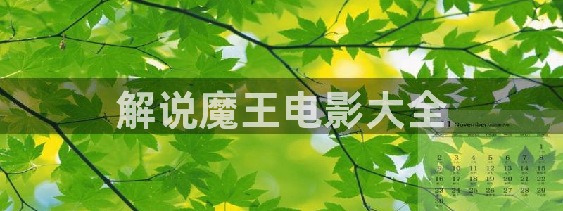 大明风华星辰影院：解说魔王电影大全