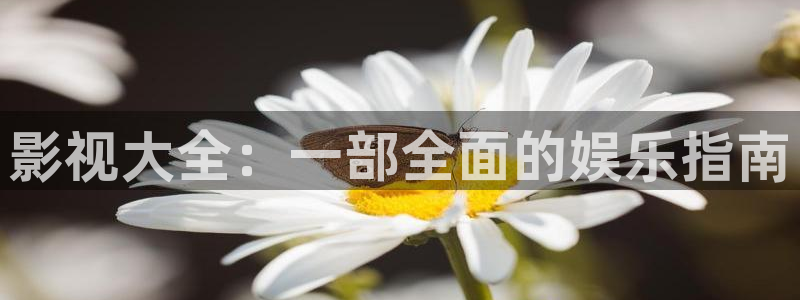 七根心简星辰影院：影视大全：一部全面的娱乐指南
