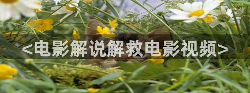 狂飙星辰影视：<电影解说解救电影视频>